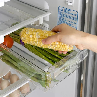 Boite-de-Conservation-Alimentaire-légumes