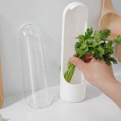 Boite de Conservation Alimentaire | FRESH HERBE™ Prolonge la Fraicheur des Herbes Aromatiques - Bouticuisine