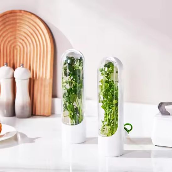 Boite de Conservation Alimentaire | FRESH HERBE™ Prolonge la Fraicheur des Herbes Aromatiques - Bouticuisine