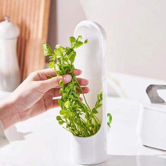 Boite de Conservation Alimentaire | FRESH HERBE™ Prolonge la Fraicheur des Herbes Aromatiques - Bouticuisine