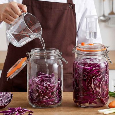 fermentation-kit-pratique