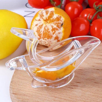 Presse-Agrumes-MANUJUS-fete