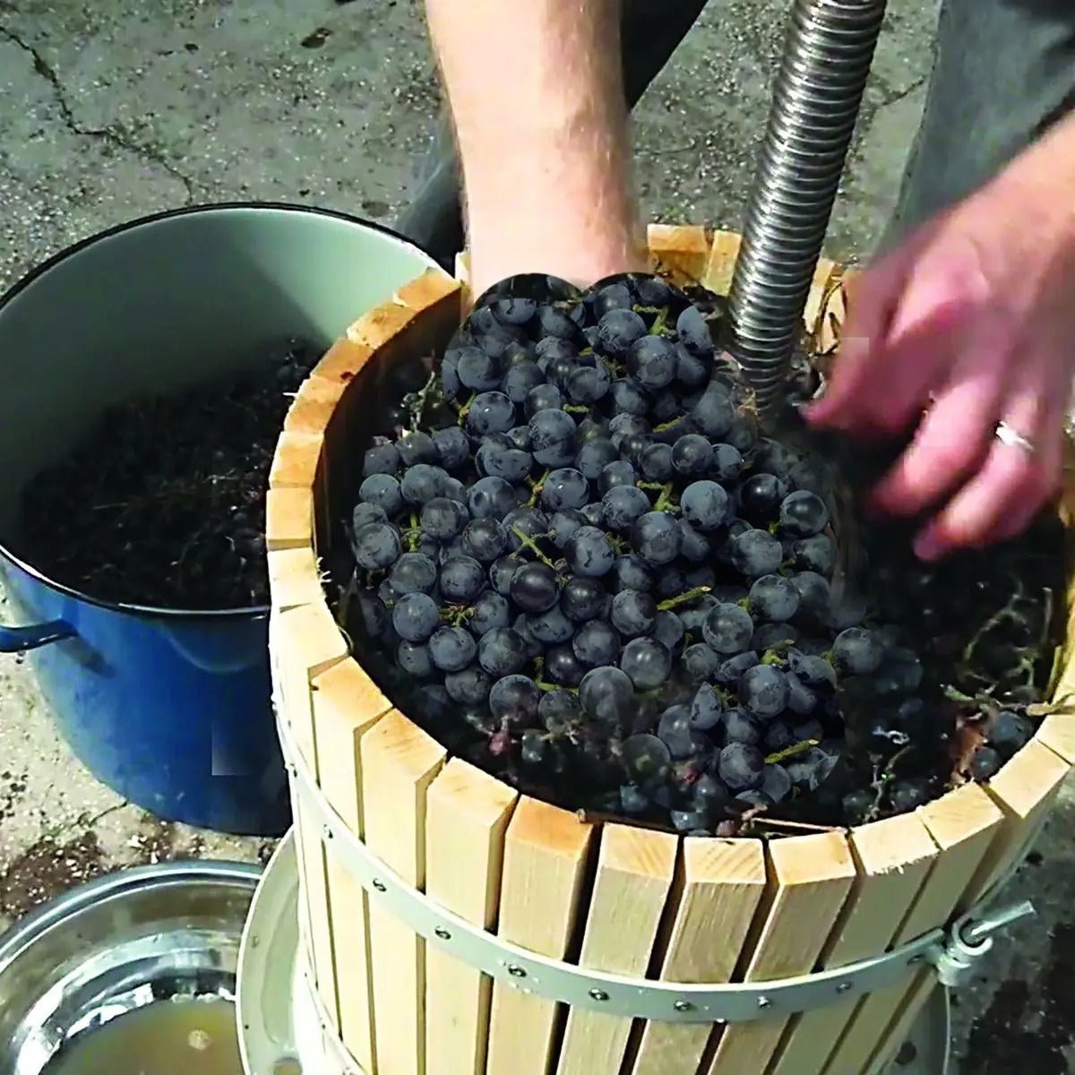 Presse fruit | WINE PRESS™ Extraire le Jus du Fruit sans Effort - Bouticuisine