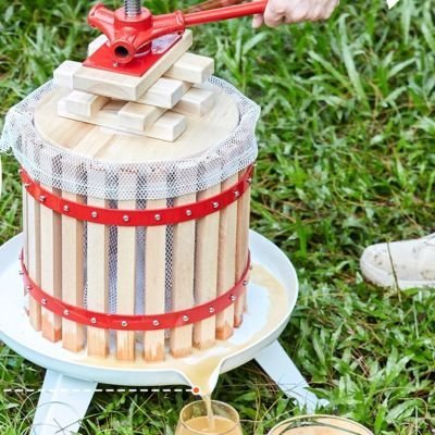 Presse fruit | WINE PRESS™ Extraire le Jus du Fruit sans Effort - Bouticuisine